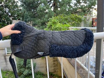 Agnellino sotto sella