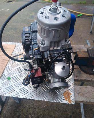 motore kart tm kz10