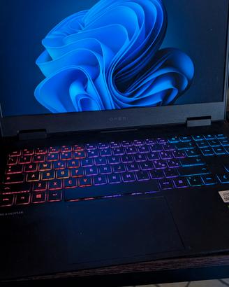Portatile Gaming HP omen 15 i7 1tb 16gb rtx2060