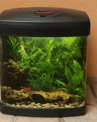 Acquario X Cube 26 Wave