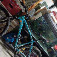 bicicletta carraro