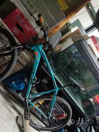 bicicletta carraro