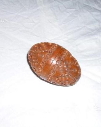 Trappola per pulci ? '800