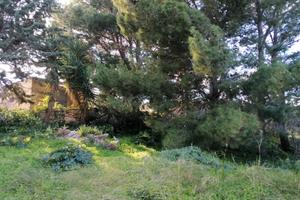 Salemi Terreno Con Magazzino