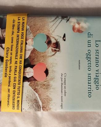 "Lo strano caso di un oggetto smarrito"  S.Basile