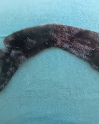 Visone nero collo per cappotto 