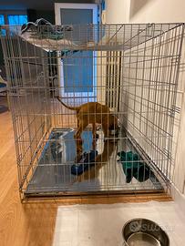 Kennel per animali