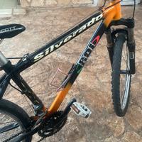 Bici mountain bike ROI