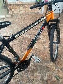 Bici mountain bike ROI
