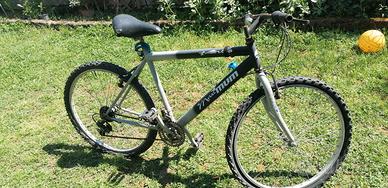 bicicletta 