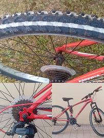 bicicletta 