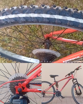 bicicletta 