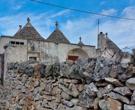 Cerco villa Martina Franca zona Paretone