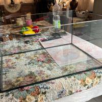 Acquario o Terrario 45x65x30