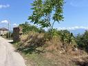 terreno-di-8115-m²-a-stella-cilento