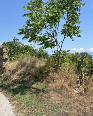 Terreno di 8115 m² a Stella Cilento