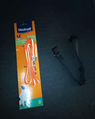 Guinzaglio cane