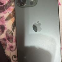 Iphone 13 Pro Max 256 Gb