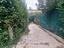 Immagine 5