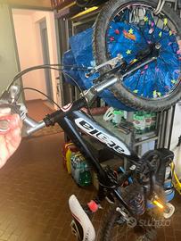 Atala 20"