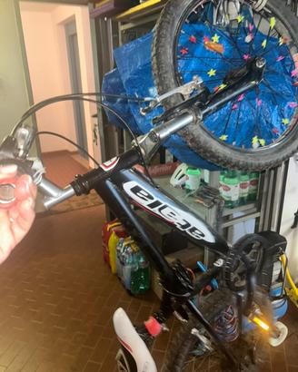 Atala 20"