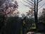 Immagine 10