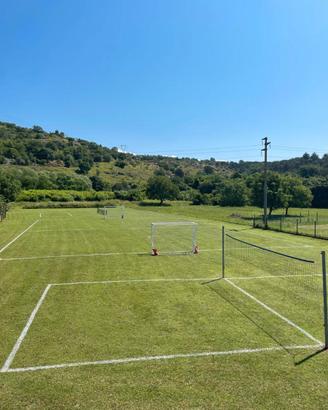 rete pallavolo