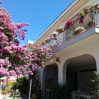 Ascea in villa sul mare 6/9 posti letto