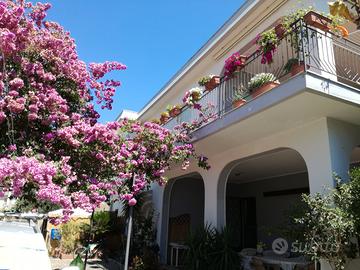 Ascea in villa sul mare 6/9 posti letto