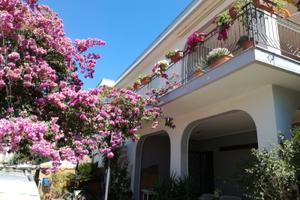 Ascea in villa sul mare 6/9 posti letto