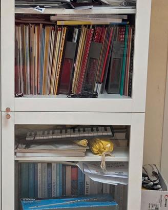 Mobile contenitore IKEA BESTA