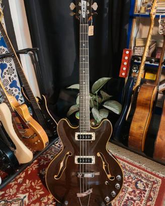 Eko - Basso Barracuda "60 (consegna a mano) 