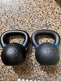 KETTLEBELL COPPIA 12 KG LACERTOSUS