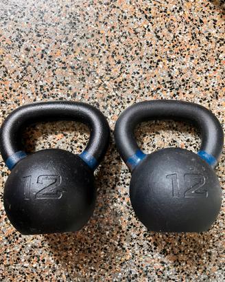 KETTLEBELL COPPIA 12 KG LACERTOSUS