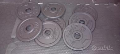 dischi ghisa 1kg