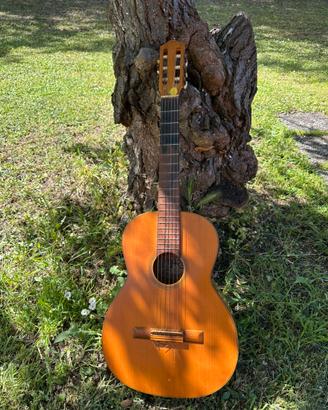Chitarra