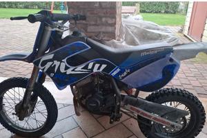 Grizzly 50