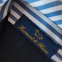 Harmont & Blaine cravatta strisce bianco/blu seta