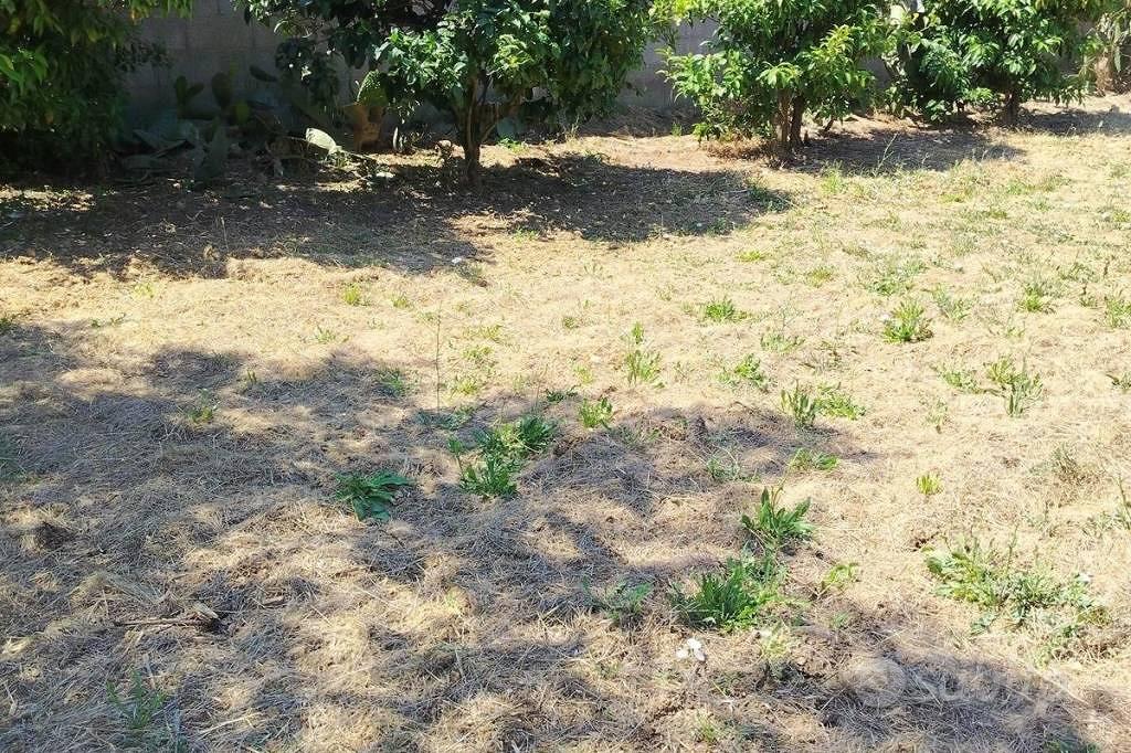 Terreno di 306 m² a Torchiarolo - Vista 2