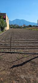 terreno agricolo 