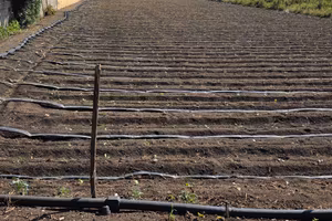 terreno agricolo 