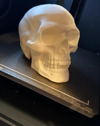 Statue stampa 3d