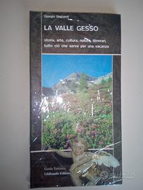 La valle gesso