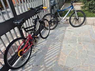 Coppia bici