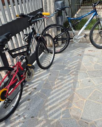 Coppia bici