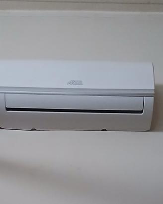 condizionatore con inverter