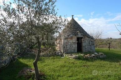 Trullo con lamia e terreno edificabile