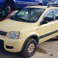 Fiat Panda 1.250 4X4 Climbing benzina del 2004