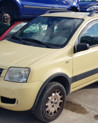 Fiat Panda 1.250 4X4 Climbing benzina del 2004