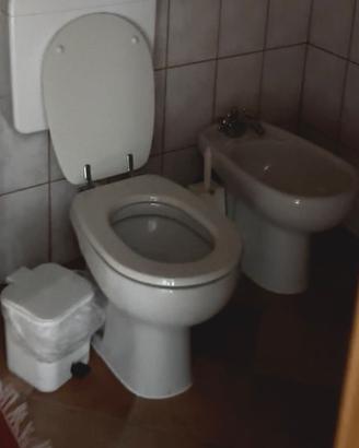 Coppia sanitari con accessori e  pareti box doccia